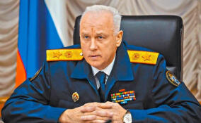 Александр Бастрыкин заинтересовался сообщениями об избиении 12-летней девочки в Выборге