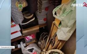 В Гостицах полицейские провели обыск в квартире бутлегера