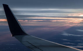 В Пулково задержали дебошира, сквернословившего на борту рейса из Казани