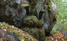 В Приозерском районе появилась арт-тропа «Культ‑массив»