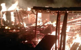 При пожаре в Отрадном сгорели пять хозпостроек