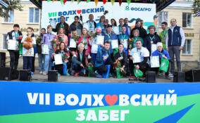 В Волхове прошел забег, посвященный Всемирному дню сердца