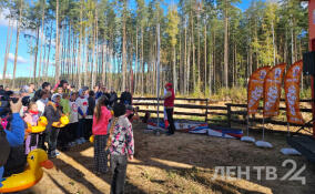 В Свердловском поселении проходит экстремальный забег «Кабан Трейл»