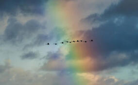 Глава Ленобласти пожелал жителям яркой осенней недели