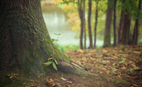 Спасатели вызволили человека из канавы в поселке Новинка