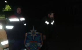 Спасатели и добровольцы искали заплутавшего мужчину в лесу у поселка Коммунары