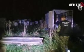 Установлен предполагаемый источник распространения некачественного алкоголя в Ленобласти