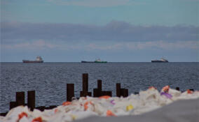 Стратегическое непослушание: почему китайское судно зашло в Севастополь