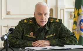 Александру Бастрыкину доложат о расследовании дела о нападении школьников на мужчину в Сертолово