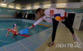 В Ленобласти растет фитнес-индустрия