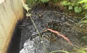 В Неве у Отрадного обнаружили следы нефтепродуктов