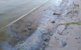 Спасатели установили боновые заграждения на месте разлива нефти в Отрадном