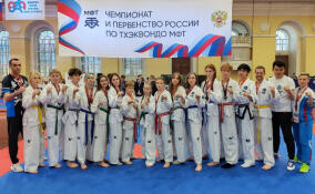 Ленинградские тхэквондисты завоевали более 90 медалей на всероссийских соревнованиях