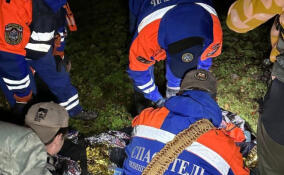 За неделю спасатели 21 раз приходили на выручку жителям Ленобласти