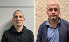 Полицейские задержали двух налетчиков на квартиру в поселке Сельцо