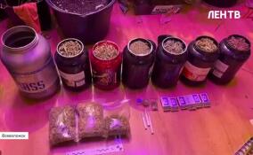 Полицейские задержали жителя Всеволожска, который организовал у себя дома мини-плантацию конопли