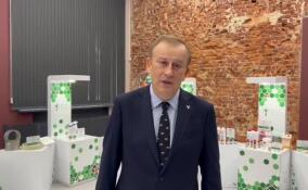 С нового года стартует пятилетняя программа «Чистые леса Ленинградской области»