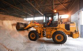 В Петербурге обработали улицы солью из-за первых ночных заморозков