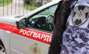 Росгвардейцы помогли вернуть домой пропавшего подростка в Гатчинском районе