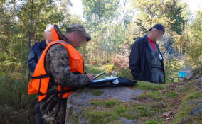 В заказниках Ленобласти ловили браконьеров