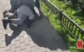 Полиция ликвидировала крупный интернет-магазин по продаже наркотиков в Петербурге и Ленобласти