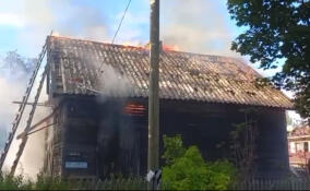 В Выборгском районе потушили крупный пожар