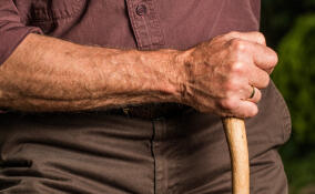 В Петербурге сейчас живут почти 480 человек, отметивших столетний юбилей