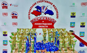 В Гатчине подвели итоги первенства Ленобласти по бадминтону
