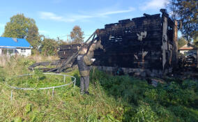 Уголовное дело завели после гибели при пожаре матери и троих детей в Ленобласти