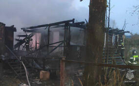 Прокуратура начала проверку после пожара в Любани, в котором погибла семья