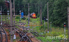 Поезд насмерть сбил человека на перегоне Девяткино – Капитолово