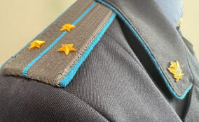 Жительница Выборгского района накопила миллионный долг по алиментам