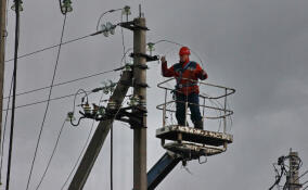 Энергетики подключили складской комплекс под Тосно к дополнительной мощности