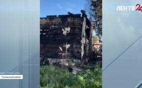 В Любани на пожаре погибли мать и трое детей