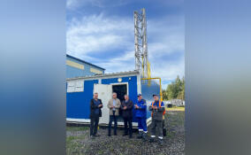 На крупнейший молокозавод Ленобласти провели газ