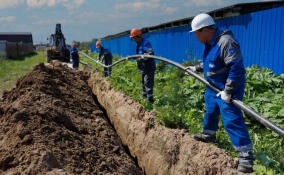 Ленобласть стала восьмой в общероссийском рейтинге по догазификации