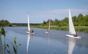 Хоккей, тхэквондо и судомодельный спорт: об активных выходных в Ленобласти