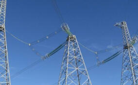 В Гатчинском округе усилили надежность электроснабжения для двух тысяч жителей