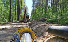 В Ленобласти 26 тысяч домовладений подключены к природному газу по программе догазификации