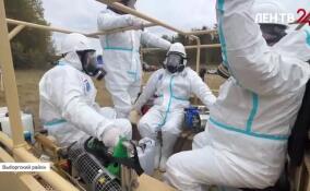 В Выборгском районе провели учения по ликвидации очага заражения ящуром