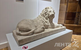 Скульптура льва возвращается в особняк Брюллова после реставрации