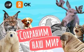 Одноклассники, Музей Банка России и Эрмитаж запускают проект ко Всемирному дню защиты животных