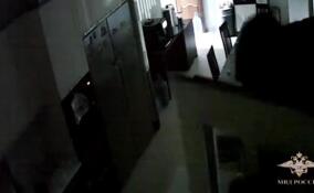 Троицу из Петербурга задержали за серию краж в Московской области