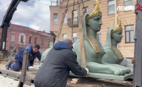 Сотрудники Музея городской скульптуры Петербурга увезли на плановую реставрацию сфинксов с Египетского моста