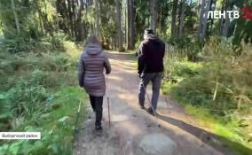 Осваиваем технику скандинавской ходьбы в Линдуловской роще