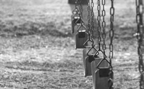 Пожилого жителя Парголово заподозрили в сексуальном насилии в отношении 10-летней девочки