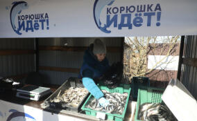 55% жителей Петербурга и Ленобласти включают рыбу в свой рацион не менее двух раз в неделю