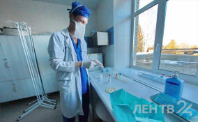 У новорожденного из Сланцев удалили шестой пальчик и спасли ему кисть