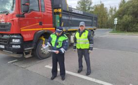 Хозяев трех самосвалов оштрафовали на 600 тысяч рублей