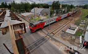 На ж/д переездах в Ленобласти с начала года произошло 10 ДТП